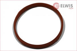 Elwis Royal Прокладка, корпус впускного коллектора Elwis Royal 7115452 - Заображення 1