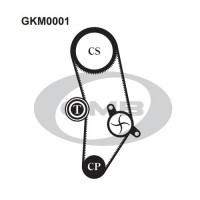 Комплект ремня ГРМ GMB GKM0001
